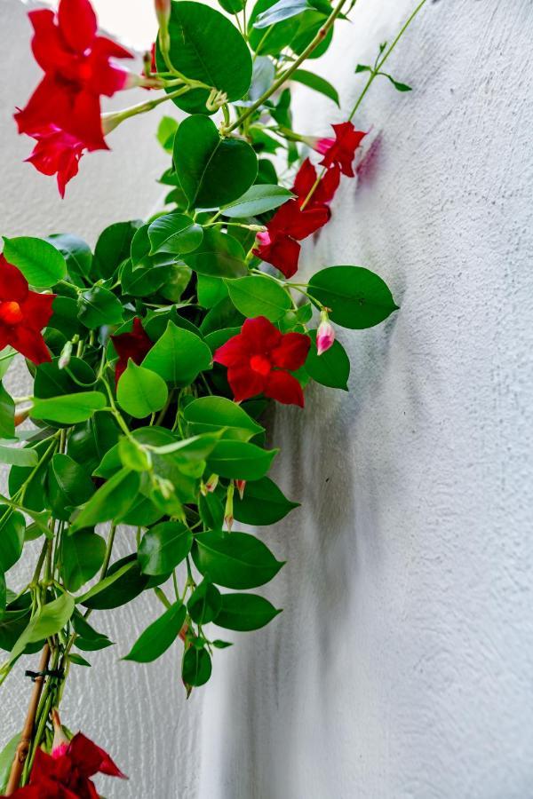 باري Antonella Home B&B المظهر الخارجي الصورة